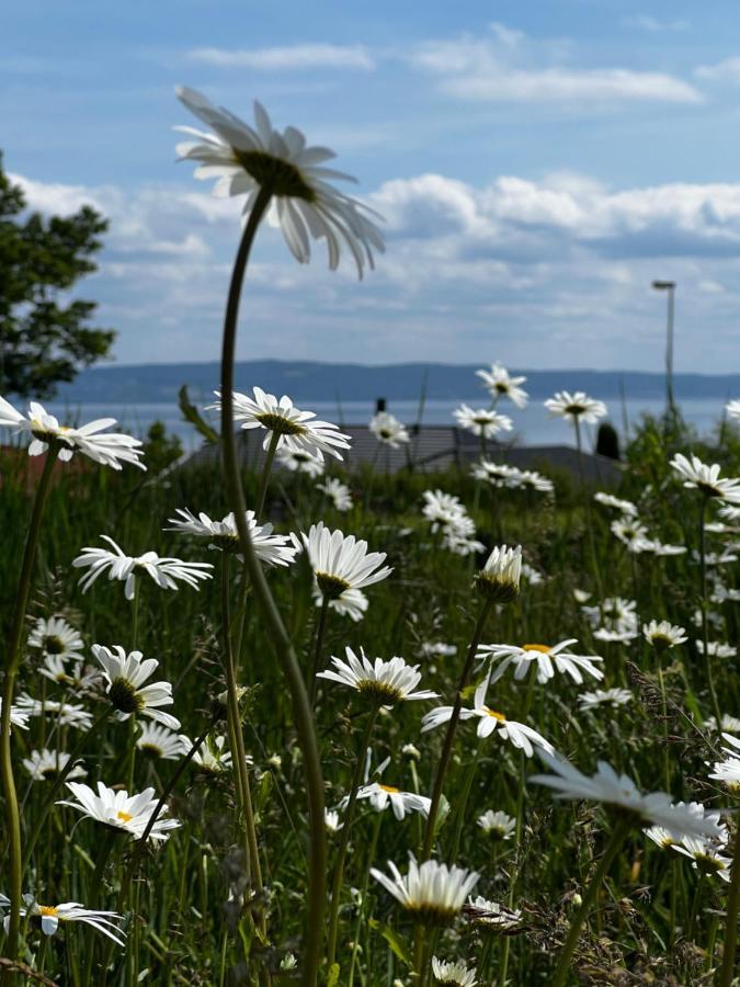 Villa Fantastisk Vaetterutsikt Mellan Habo Och Bankeryd. Esterno foto