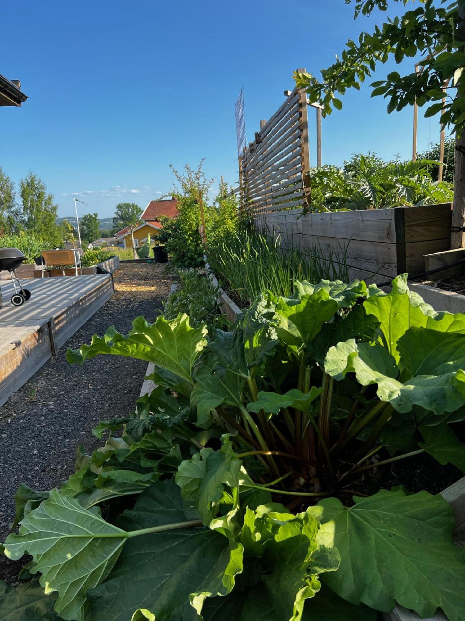 Villa Fantastisk Vaetterutsikt Mellan Habo Och Bankeryd. Esterno foto